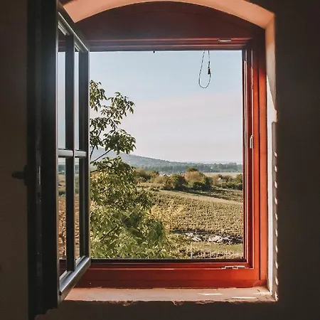 Maison d'hôtes Szaszi Birtok