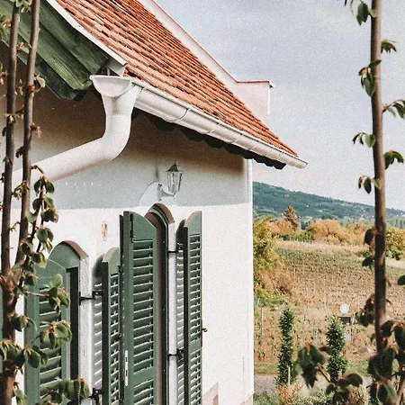 Szaszi Birtok Maison d'hôtes *