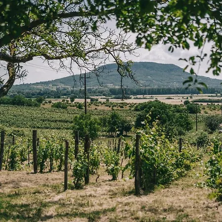 Szaszi Birtok Maison d'hôtes Hegymagas