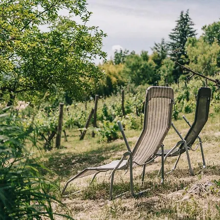 Szaszi Birtok Maison d'hôtes Hegymagas