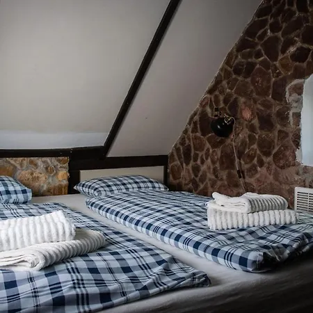 Maison d'hôtes Szaszi Birtok Hegymagas